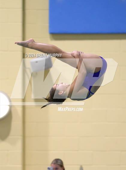 Thumbnail 1 in Mustang Invite (Diving) photogallery.