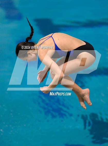 Thumbnail 2 in Mustang Invite (Diving) photogallery.