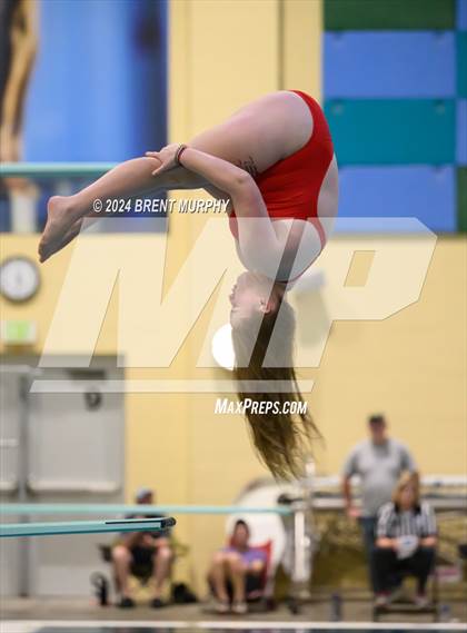 Thumbnail 2 in Mustang Invite (Diving) photogallery.