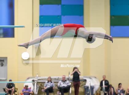 Thumbnail 1 in Mustang Invite (Diving) photogallery.