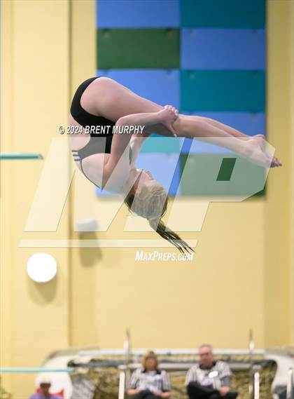 Thumbnail 3 in Mustang Invite (Diving) photogallery.