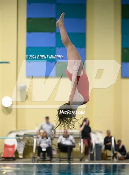 Thumbnail 3 in Mustang Invite (Diving) photogallery.