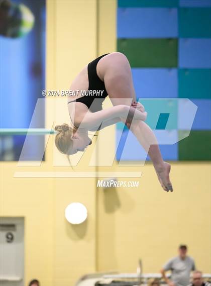 Thumbnail 2 in Mustang Invite (Diving) photogallery.