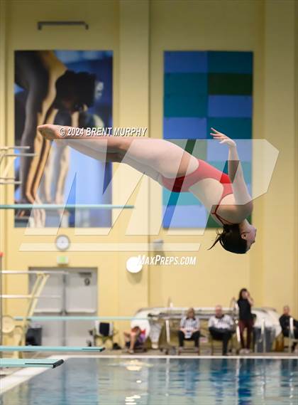 Thumbnail 3 in Mustang Invite (Diving) photogallery.