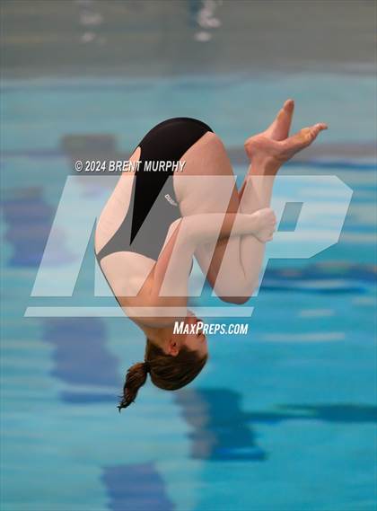 Thumbnail 2 in Mustang Invite (Diving) photogallery.