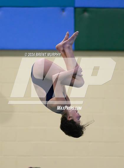 Thumbnail 2 in Mustang Invite (Diving) photogallery.