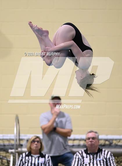 Thumbnail 1 in Mustang Invite (Diving) photogallery.