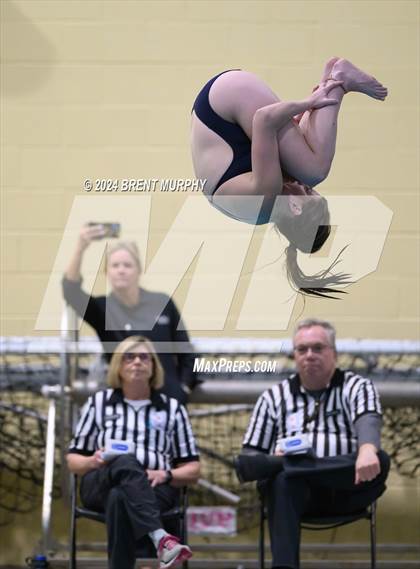 Thumbnail 2 in Mustang Invite (Diving) photogallery.