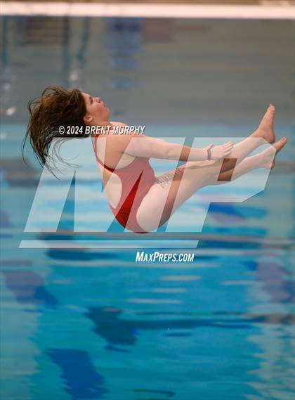 Thumbnail 3 in Mustang Invite (Diving) photogallery.