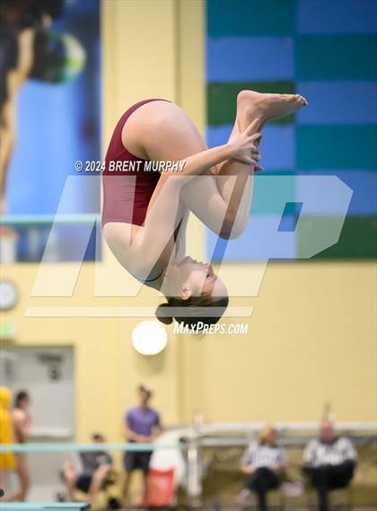 Thumbnail 3 in Mustang Invite (Diving) photogallery.