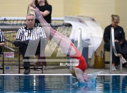 Thumbnail 2 in Mustang Invite (Diving) photogallery.