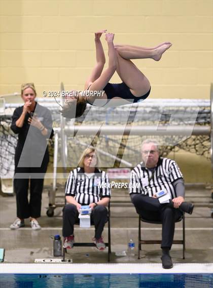 Thumbnail 2 in Mustang Invite (Diving) photogallery.