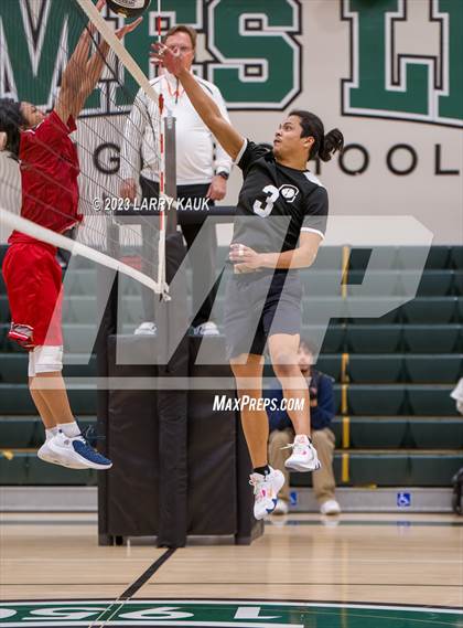 Thumbnail 1 in San Jose @ James Lick photogallery.