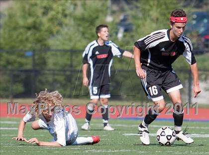 Thumbnail 1 in Warde @ Ludlowe photogallery.