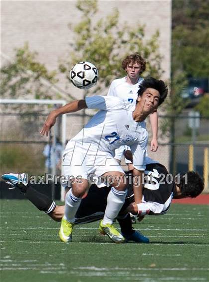 Thumbnail 3 in Warde @ Ludlowe photogallery.
