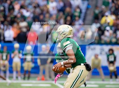 Thumbnail 3 in Warner Robins vs Ware County (GHSA 5A Final) photogallery.