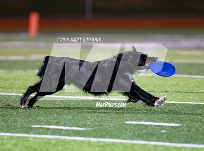 Thumbnail 2 in Kankakee @ Mascoutah (IHSA 5A Second Round Playoff) photogallery.
