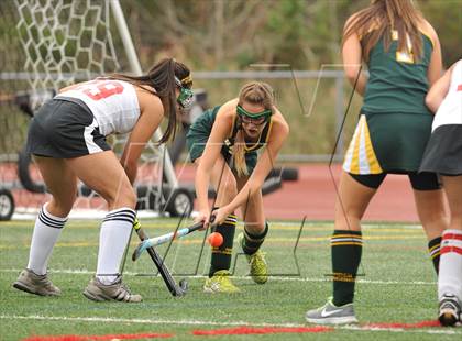 Thumbnail 3 in Hamden @ Branford photogallery.