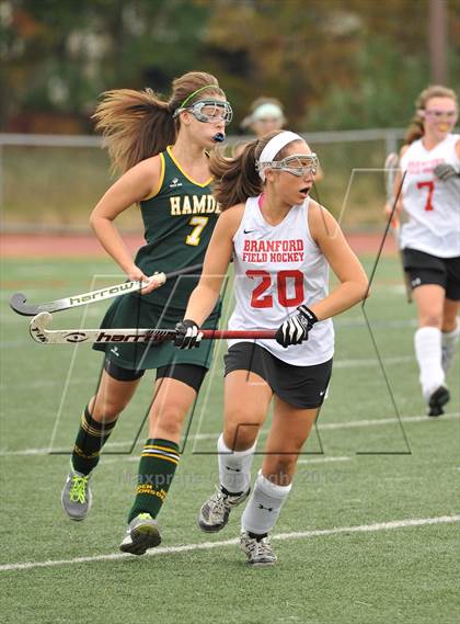 Thumbnail 1 in Hamden @ Branford photogallery.