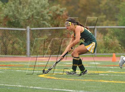 Thumbnail 1 in Hamden @ Branford photogallery.