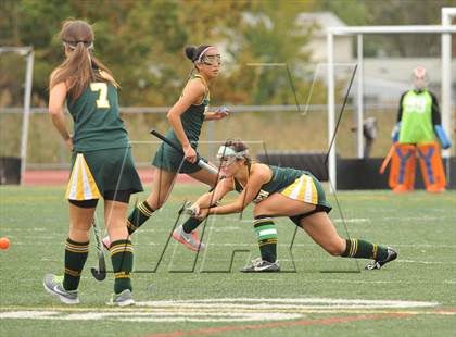 Thumbnail 1 in Hamden @ Branford photogallery.
