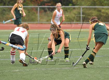 Thumbnail 2 in Hamden @ Branford photogallery.