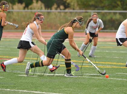 Thumbnail 1 in Hamden @ Branford photogallery.