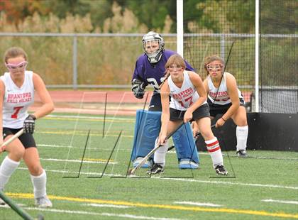 Thumbnail 2 in Hamden @ Branford photogallery.