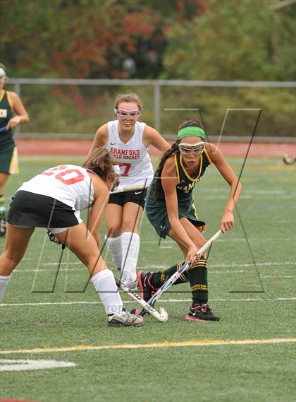 Thumbnail 3 in Hamden @ Branford photogallery.