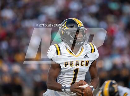 Thumbnail 3 in Peach County @ Perry photogallery.