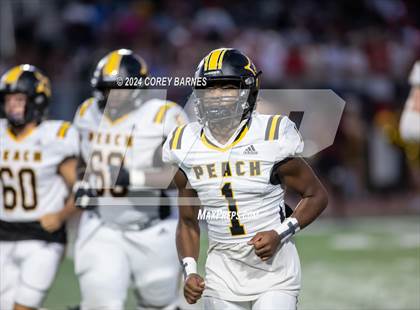 Thumbnail 2 in Peach County @ Perry photogallery.