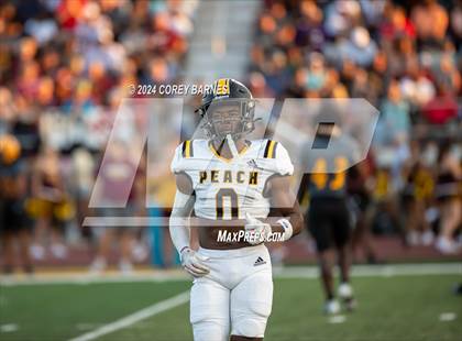 Thumbnail 1 in Peach County @ Perry photogallery.