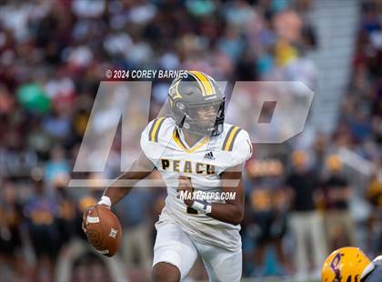 Thumbnail 1 in Peach County @ Perry photogallery.
