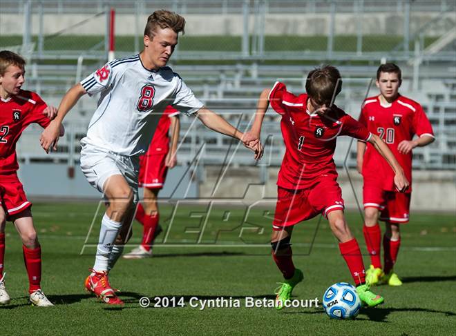 null - Photo 01