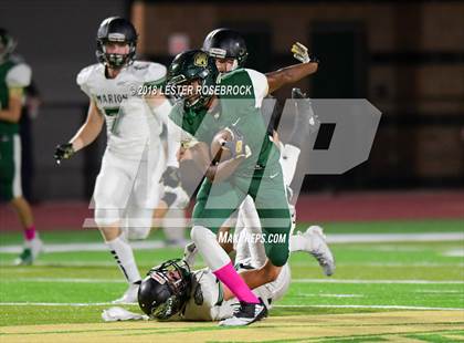 Thumbnail 1 in Marion @ Cole photogallery.