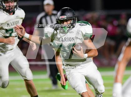 Thumbnail 2 in Marion @ Cole photogallery.
