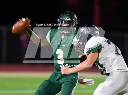 Thumbnail 1 in Marion @ Cole photogallery.
