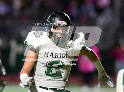 Thumbnail 2 in Marion @ Cole photogallery.