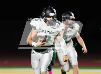 Thumbnail 2 in Marion @ Cole photogallery.