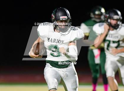 Thumbnail 3 in Marion @ Cole photogallery.