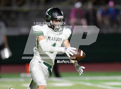 Thumbnail 3 in Marion @ Cole photogallery.