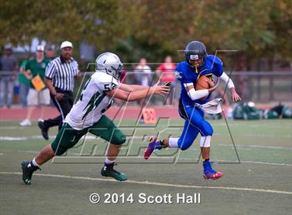 Thumbnail 3 in Ponderosa @ Lincoln photogallery.