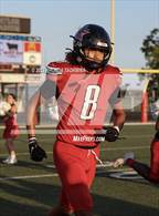 Photo from the gallery "Foster @ Terry"