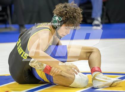 Thumbnail 1 in CIF State Boys Wrestling Championships (Consolation Round 1) photogallery.