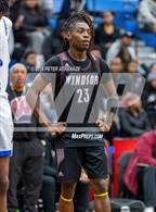 Photo from the gallery "Windsor @ Bloomfield"