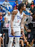 Photo from the gallery "Windsor @ Bloomfield"