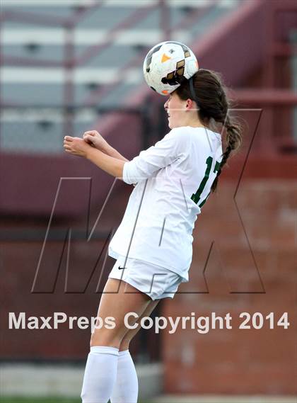 Thumbnail 2 in Fairview vs. Mountain Vista (CHSAA 5A Quarterfinal) photogallery.