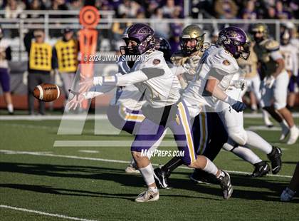 Thumbnail 2 in Casey-Westfield @ Althoff Catholic (IHSA 1A Quarterfinals) photogallery.