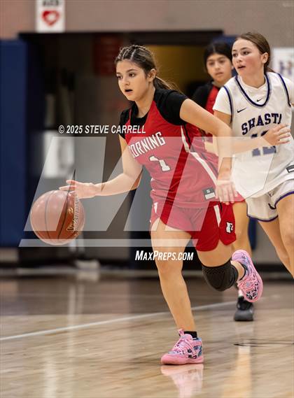 Thumbnail 1 in FR: Shasta vs Corning (Lady Falcons Tournament) photogallery.
