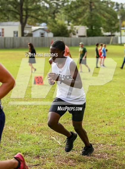 Thumbnail 2 in NCSHAA  3-A Coastal Conference Cross Country Championships photogallery.